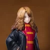 Harry Potter: Velhojen dynastia Hermione-erikoisjulkaisu