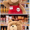 Ted2-ted-toimintapehmolelu