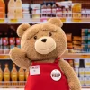 Ted2-ted-toimintapehmolelu