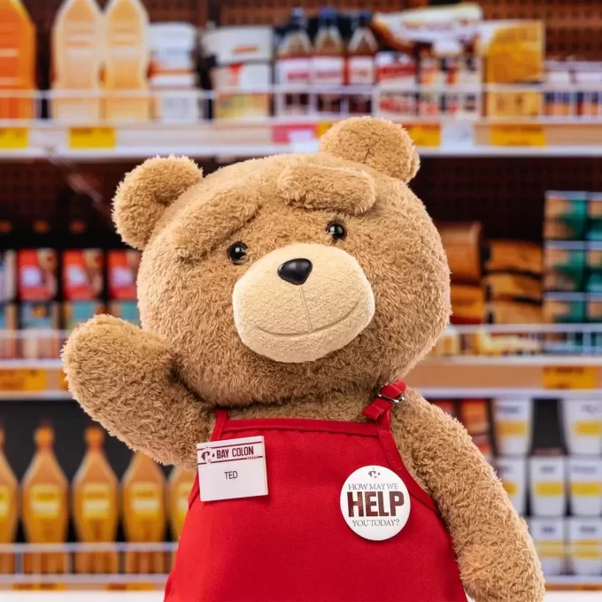 Ted2-ted-toimintapehmolelu
