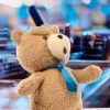 Ted2-ted-toimintapehmolelu