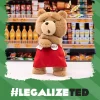 Ted2-ted-toimintapehmolelu